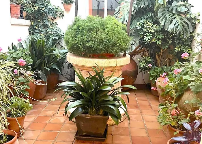 Alexia Coral 2nd Floor Stairs 1br Pool View 9 Min To Sea 5min To Town At1833 ポルト・ダ・ポリェンサ