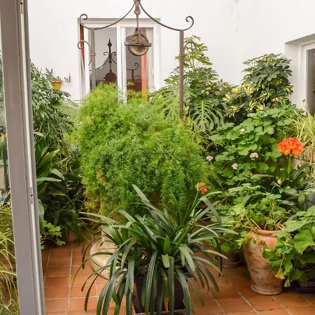 Apartment Alexia - Coral -