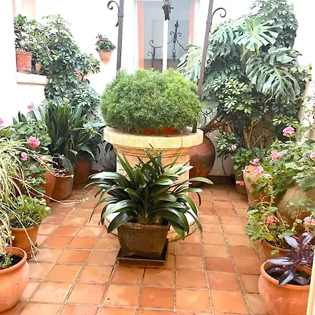 Alexia Coral 2nd Floor Stairs 1br Pool View 9 Min To Sea 5min To Town At1833 Port de Pollenca
